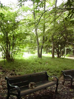 ʹ�������������������Ӱ���ı���Ƭ�о�